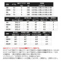 Shimano 25 Force Master 300
