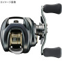 Daiwa 26 Steez SV Light TW 100XXH