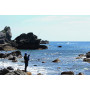 Arukazik Japan INSPIRATION S88H the” Rock Shore Spin”