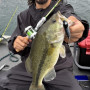Abu Garcia 25 Zoom Suecia ZSUC-53L